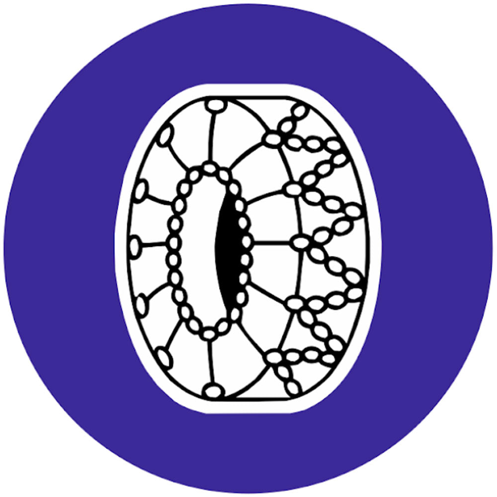 Lanturi pentru zapada