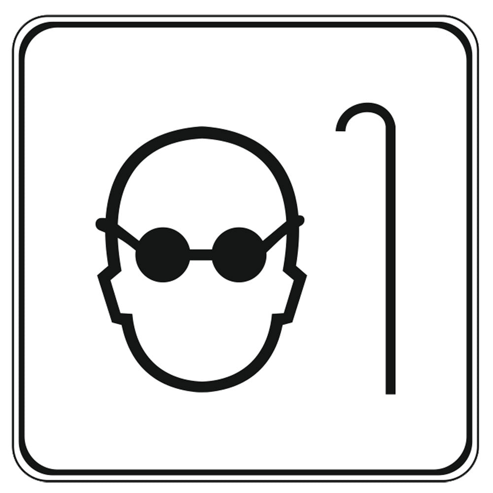 Persoane cu handicap de vedere